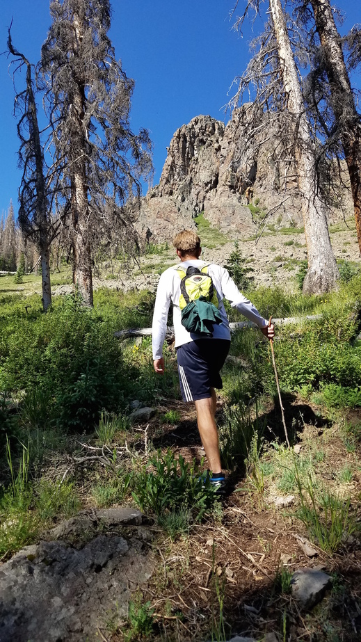 Exiting tree line