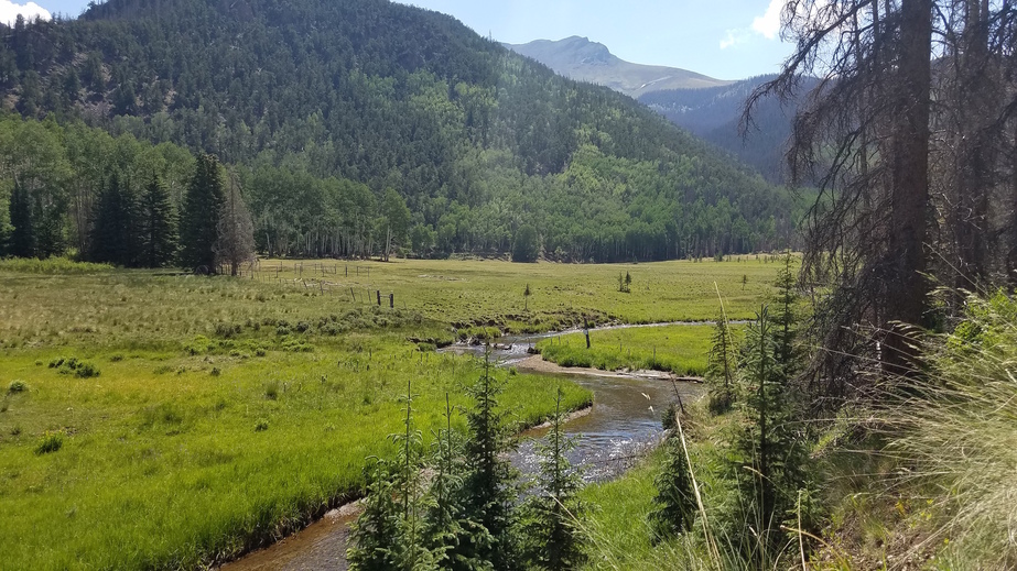 Back to the Bondholder Meadows, and where we should have crossed the stream on our way up 