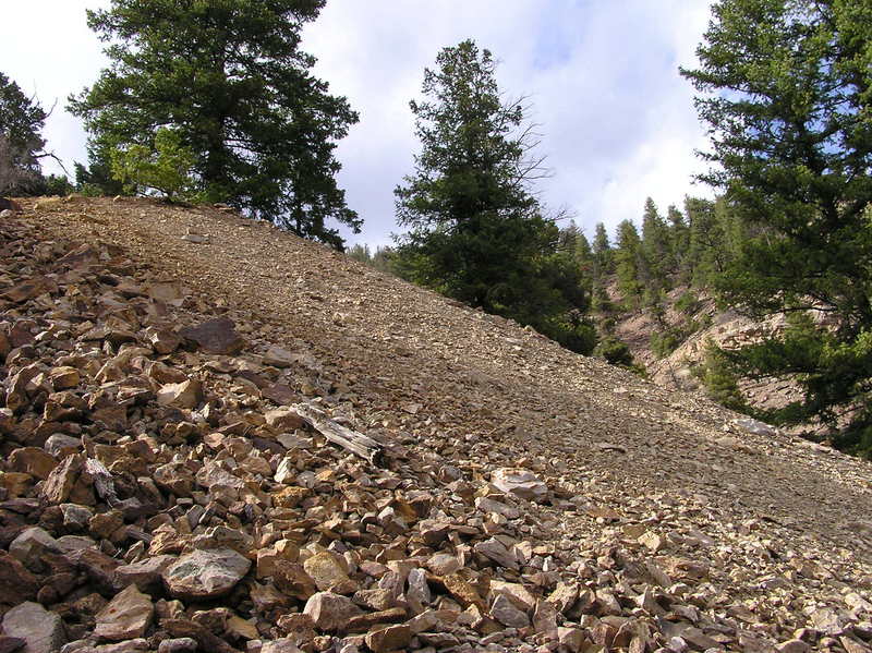 View North (up the scree slope)