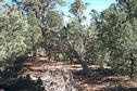 #2: This is looking south.