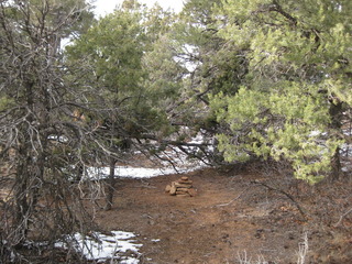 #1: View of the confluence cairn looking north into the grove
