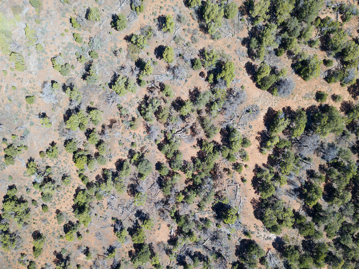 Looking down on the point from a height of 120m