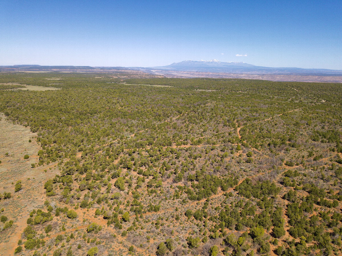 View North (towards the La Sal Mountains), from 120m above the point