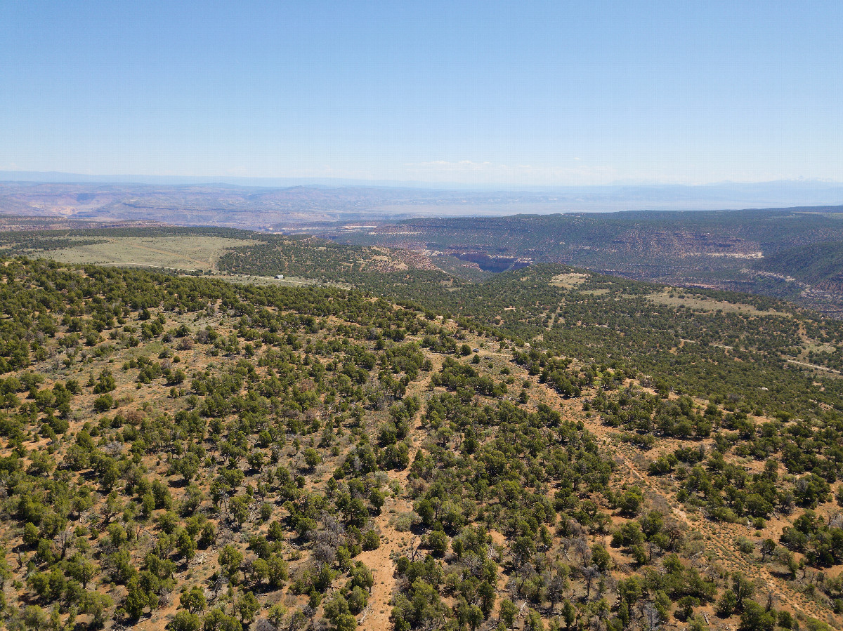 View East, from 120m above the point