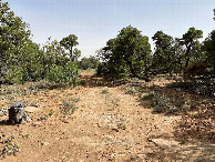 #10: Trail to the the area near the confluence point. 