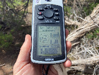 #6: GPS reading at the confluence point. 