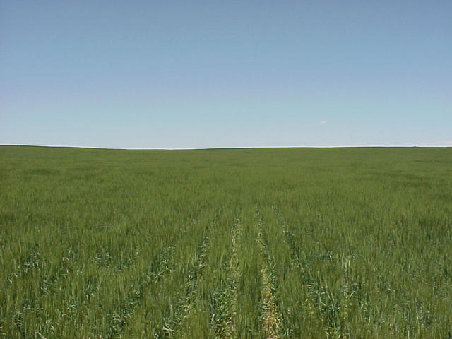 View to the North.