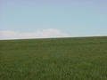 #3: View to the West.