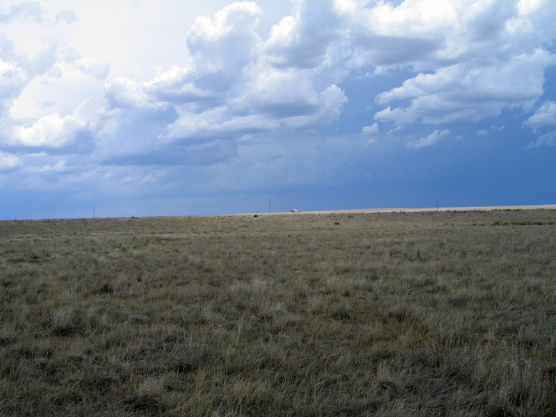 View east across the open field.