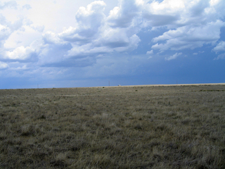 #1: View east across the open field.