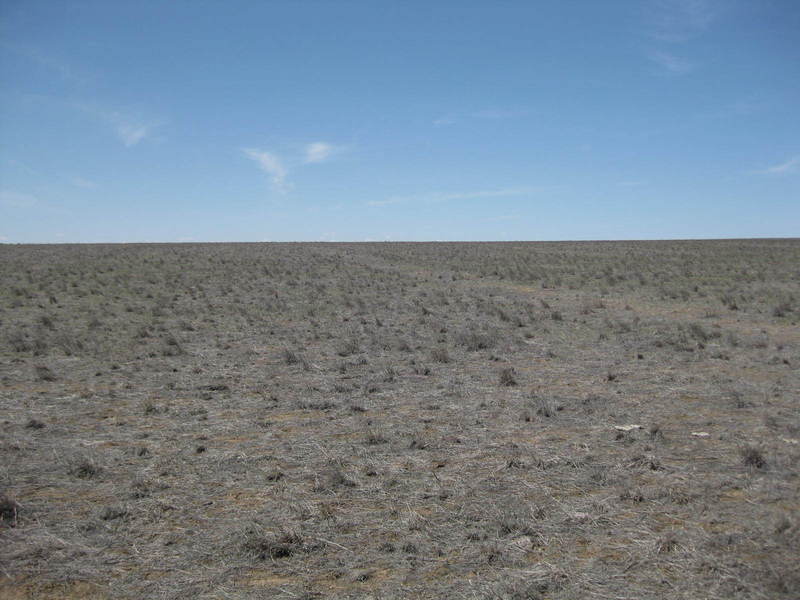 View to the west