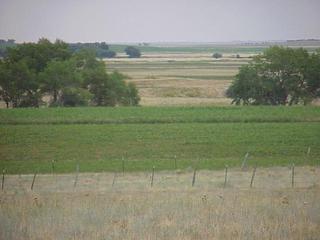 #1: View to the southeast from the confluence.