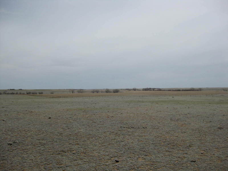 Looking southeast at the site