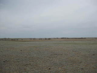 #1: Looking southeast at the site