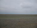 #6: View to the west