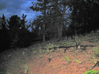 #1: View of the confluence looking north