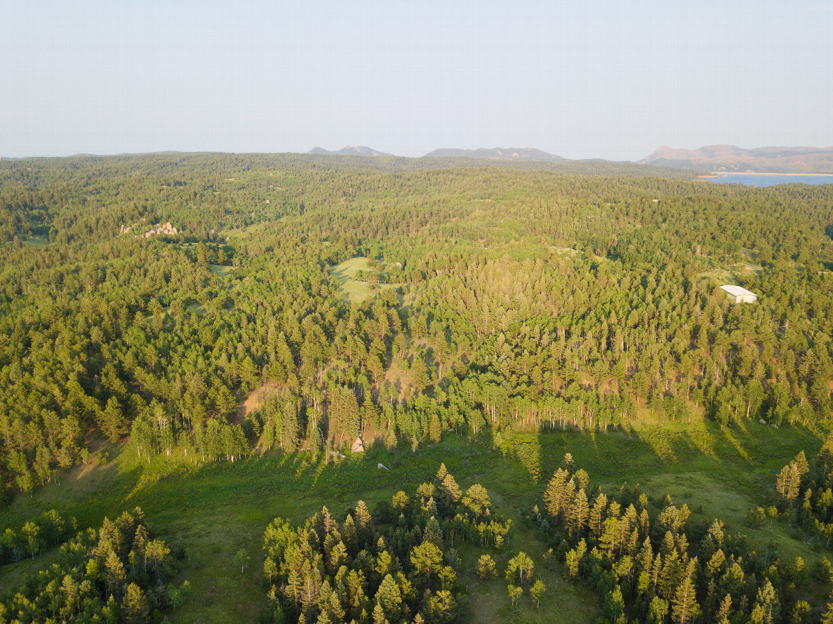 View East, from 120m above the point