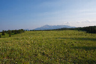 #12: Looking South towards Pikes Peak (and the dirt road) from the undulating meadow, 0.28 miles from the point