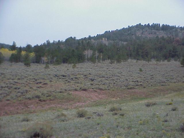 View to the west from the confluence as light snow began to fall.