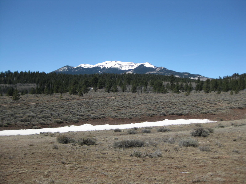 View to the west.