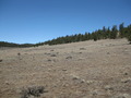 #2: View to the north.