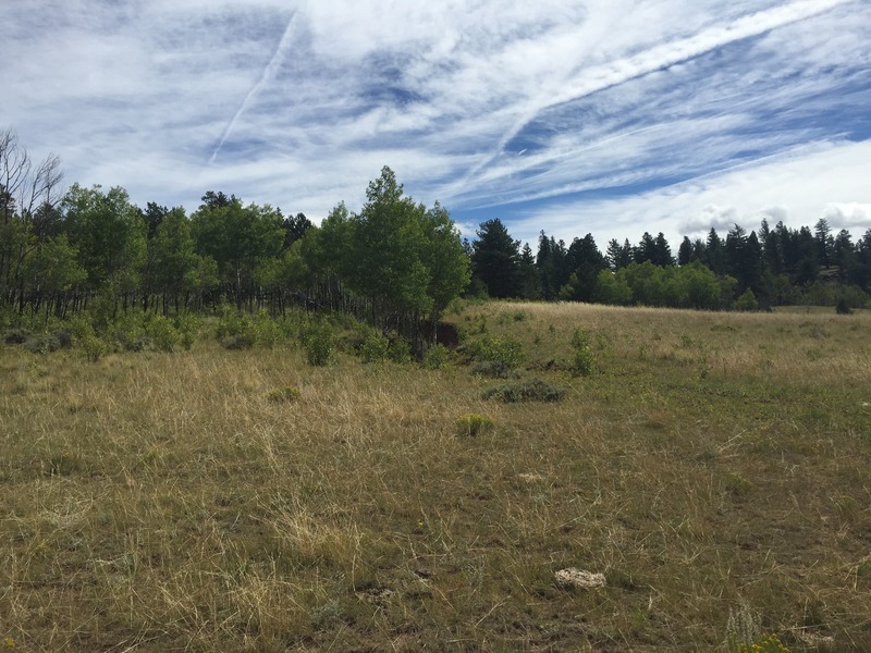 View to the east from the confluence. 