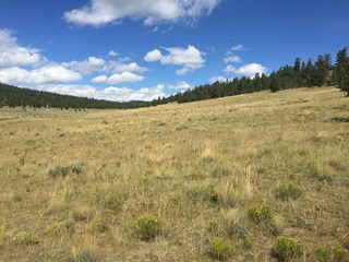 #1: The confluence of 39 North 106 West lies in the center of the foreground of this photograph, looking northwest.