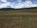 #5: View to the south from the confluence.