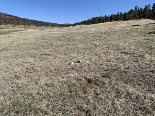 #1: View of the confluence point and geocache, looking north