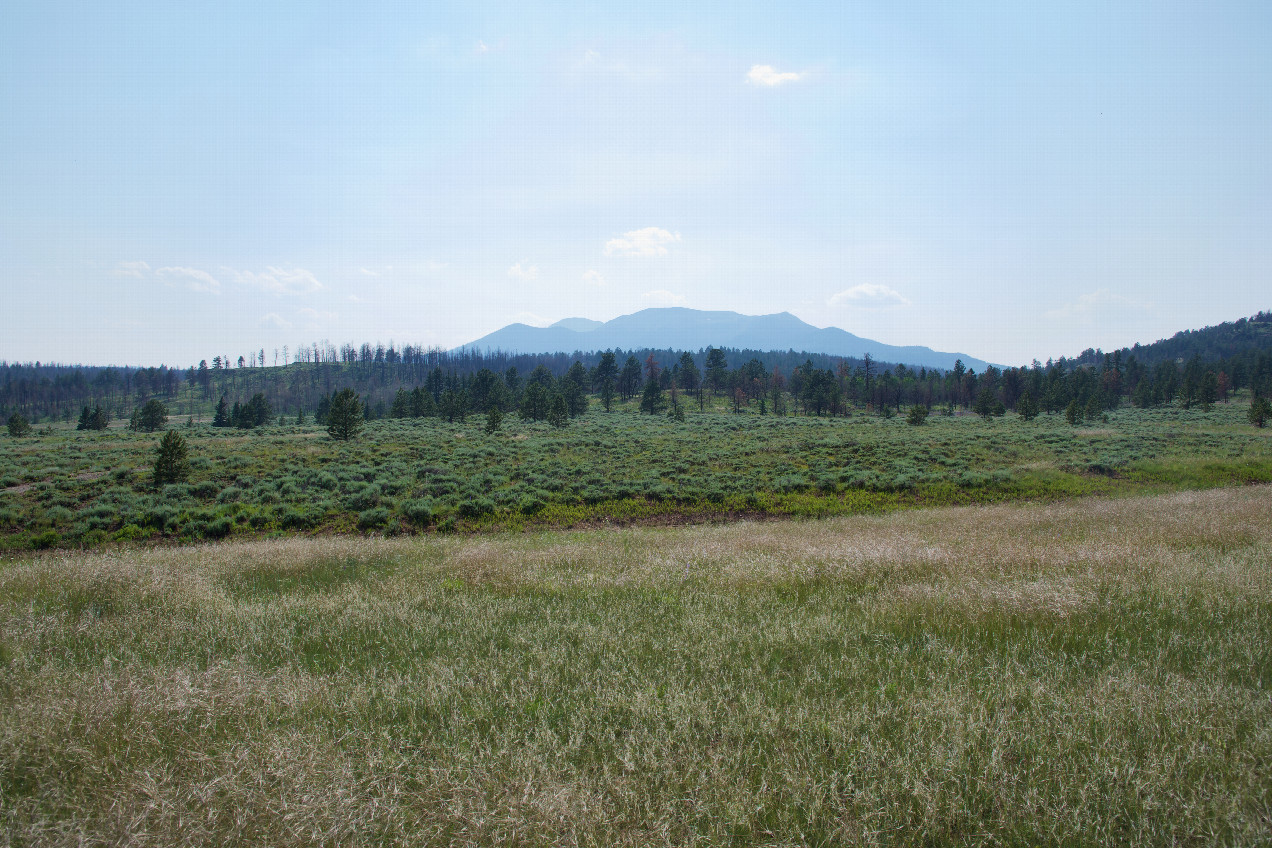 View West (towards the Buffalo Peaks)