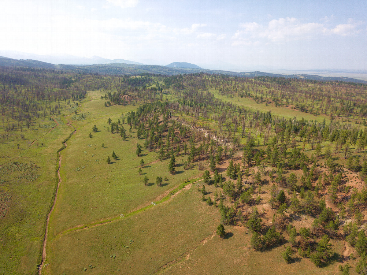 View North, from 120m above the point