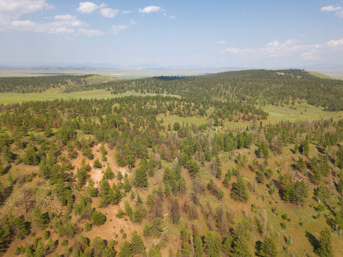 View East, from 120m above the point