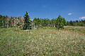Visit #9: [19-Jul-21]