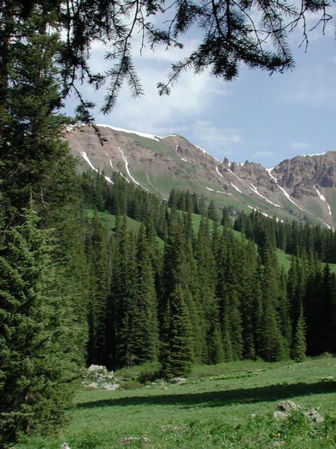 View from the confluence, looking north