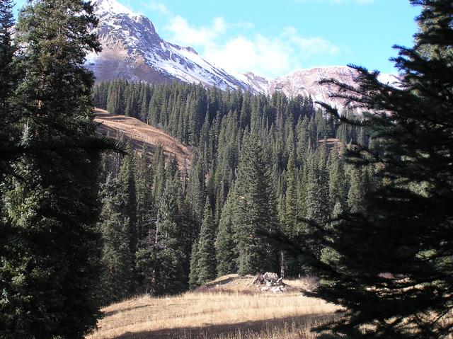 View to the north from the confluence.