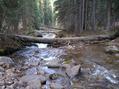 #8: Rustler Gulch, 40 meters west of the confluence.