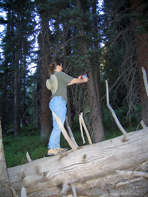 My wife doing the confluence dance while taking the previous picture.  This is also looking north.