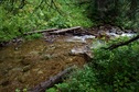 #7: Where I crossed the creek (about 200 feet west of the point)