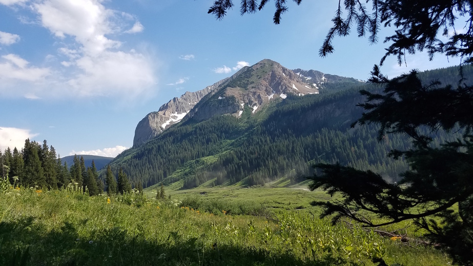 Nascent wildflowers and Gothic Mountain in the distance on our way back from the confluence 