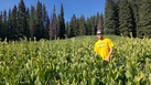 #9: Typical ground cover and tree spacing on the way to the confluence 