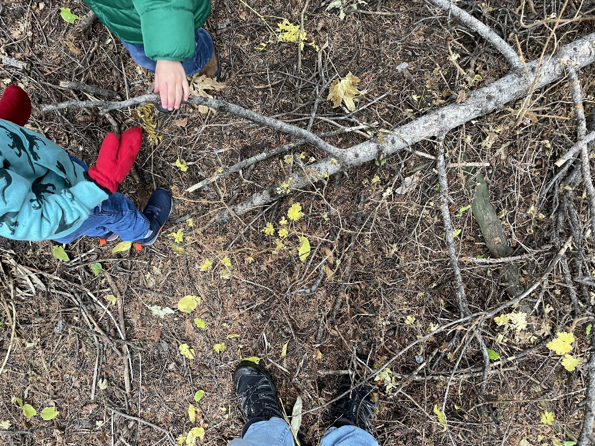 Ground cover and children