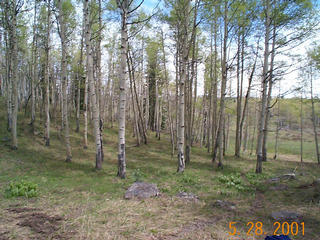 #1: North view from the confluence.