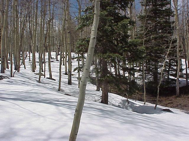 View to the northwest from the confluence site.