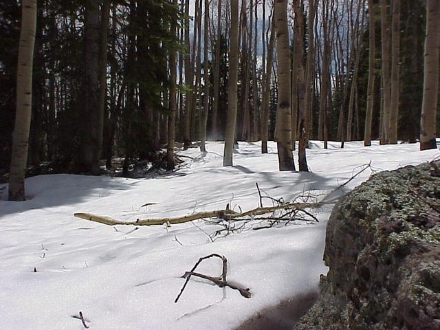 View to the southwest from the confluence.