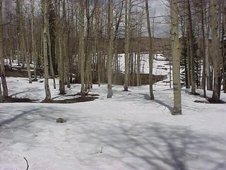 #1: Site of 39 North 108 West, looking northeast toward the meadow, on top of the Grand Mesa.