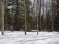 #8: View to the south-southeast from the confluence.