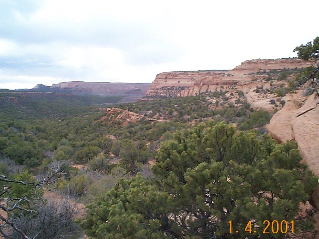 Kings Canyon 2 mi. east of the confluence on canyon rim