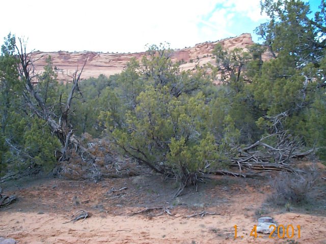 Confluence north