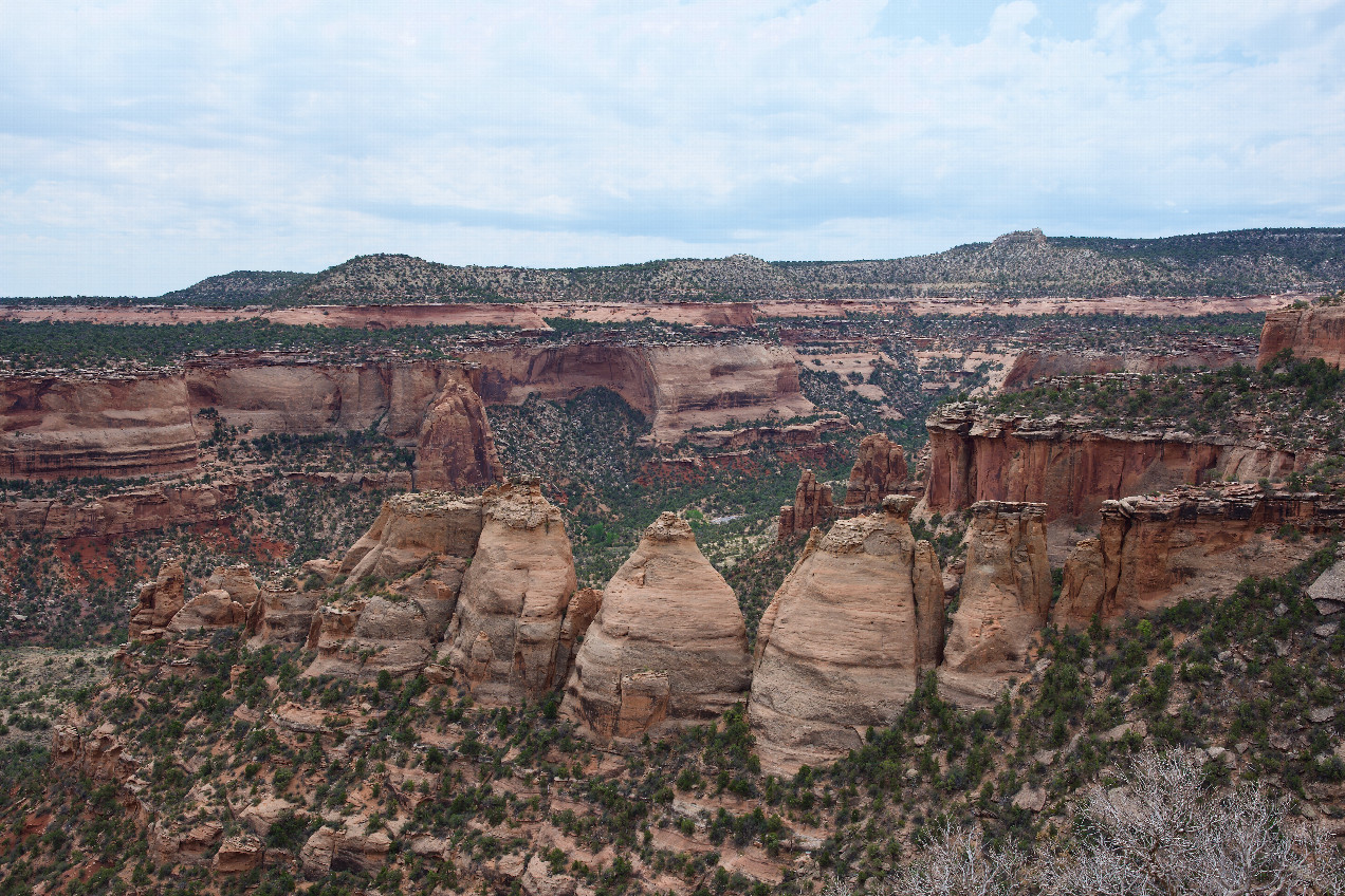In the nearby Colorado National Monument