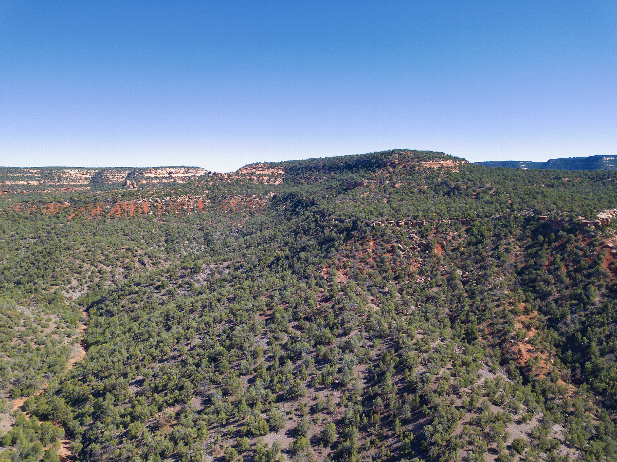 View East, from 120m above the point